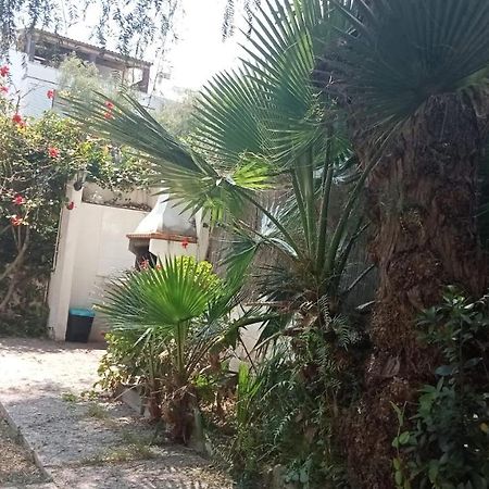 Apartamento - Jardin En Playa San Sebastian Ситжес Екстериор снимка